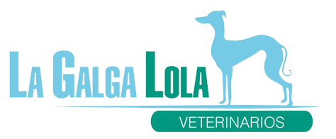 La Galga Lola Veterinarios